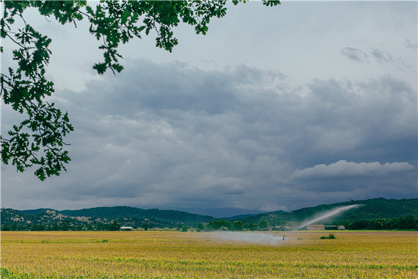 土壤水分溫度鹽分檢測儀 土壤水分溫度鹽分檢測儀