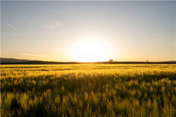 pexels-orhan-pergel-16668327 pexels-orhan-pergel-16668327