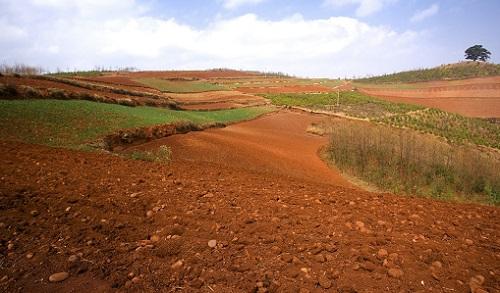 土壤墑情監(jiān)測(cè)儀